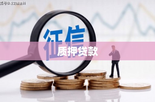 岭东质押贷款