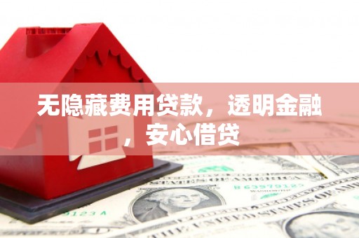 岭东无隐藏费用贷款，透明金融，安心借贷