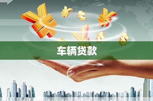 岭东车辆贷款