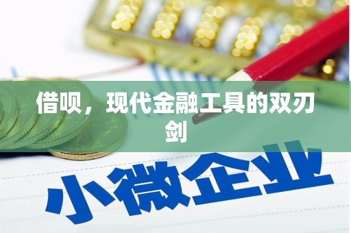 岭东借呗，现代金融工具的双刃剑