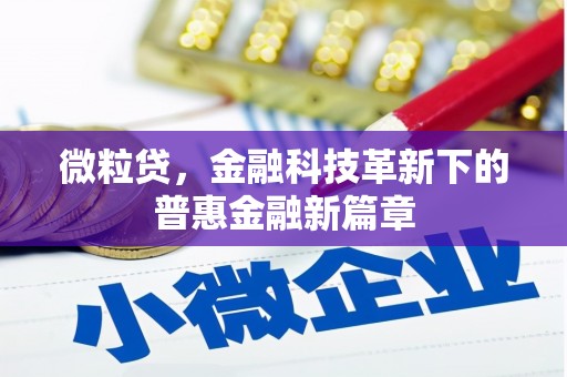 岭东微粒贷，金融科技革新下的普惠金融新篇章