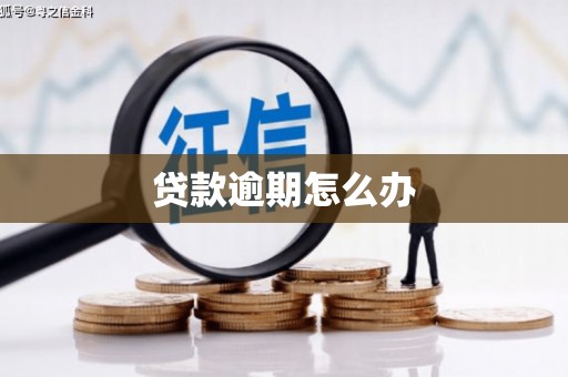 岭东贷款逾期怎么办
