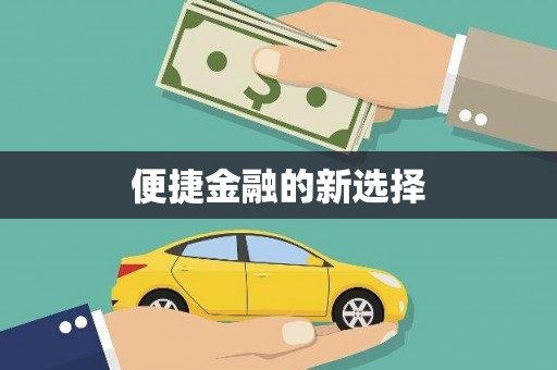岭东便捷金融的新选择