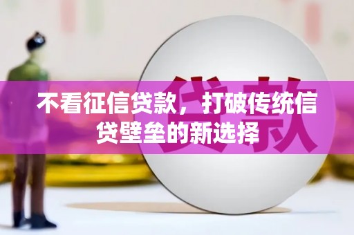 岭东不看征信贷款，打破传统信贷壁垒的新选择