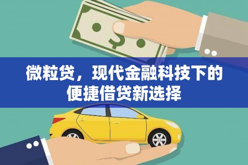 岭东微粒贷，现代金融科技下的便捷借贷新选择