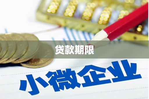 岭东贷款期限