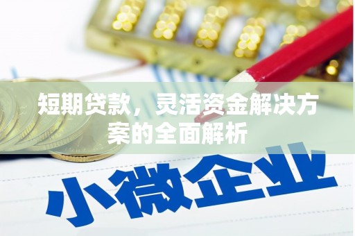岭东短期贷款，灵活资金解决方案的全面解析