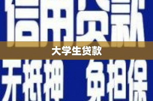 岭东大学生贷款