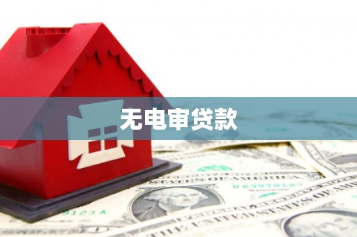 岭东无电审贷款