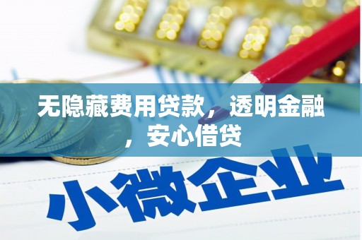 岭东无隐藏费用贷款，透明金融，安心借贷
