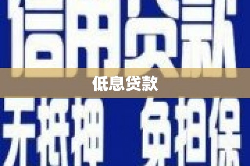 岭东低息贷款