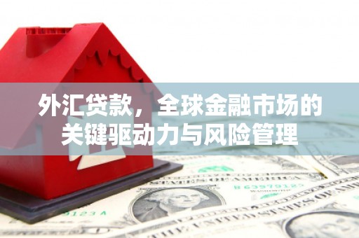 岭东外汇贷款，全球金融市场的关键驱动力与风险管理