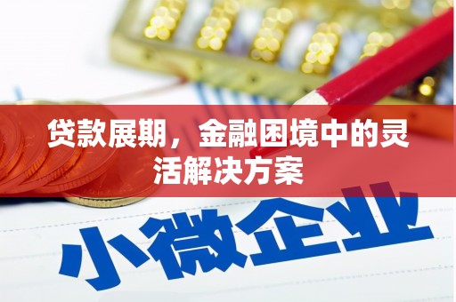 岭东贷款展期，金融困境中的灵活解决方案