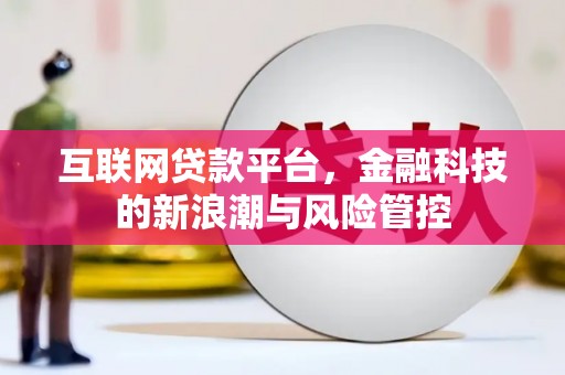 岭东互联网贷款平台，金融科技的新浪潮与风险管控