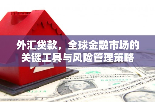 岭东外汇贷款，全球金融市场的关键工具与风险管理策略
