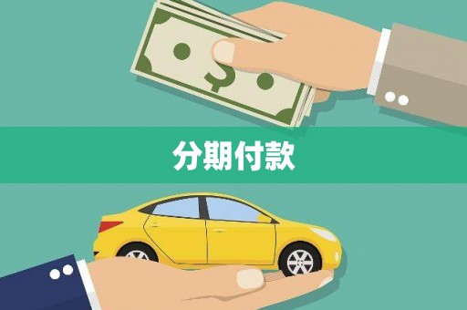 岭东分期付款