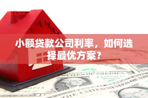 岭东小额贷款公司利率，如何选择最优方案？