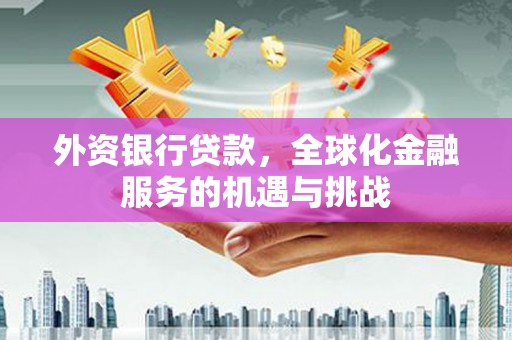 岭东外资银行贷款，全球化金融服务的机遇与挑战