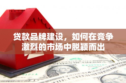 岭东贷款品牌建设，如何在竞争激烈的市场中脱颖而出