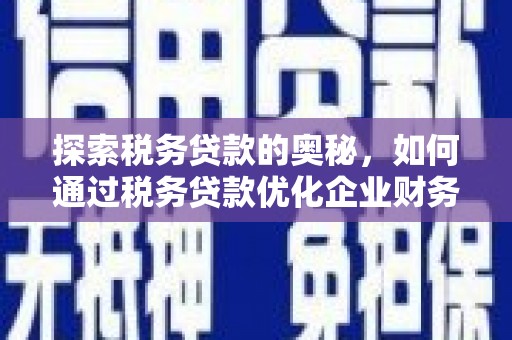 岭东探索税务贷款的奥秘，如何通过税务贷款优化企业财务