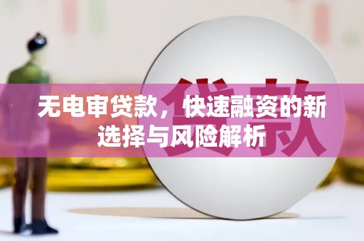 岭东无电审贷款，快速融资的新选择与风险解析