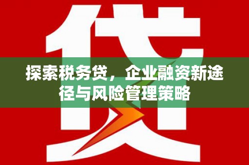 岭东探索税务贷，企业融资新途径与风险管理策略