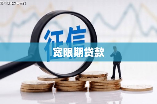 岭东宽限期贷款