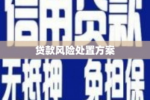 岭东贷款风险处置方案