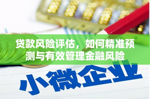 岭东贷款风险评估，如何精准预测与有效管理金融风险