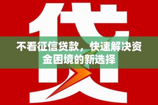 岭东不看征信贷款，快速解决资金困境的新选择