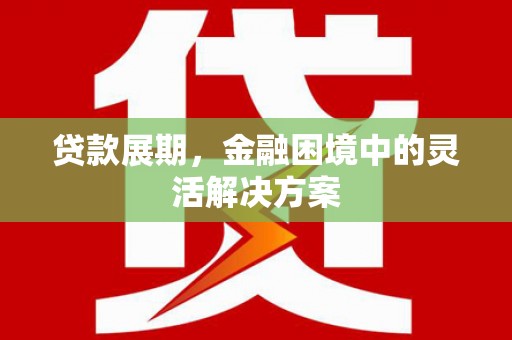 岭东贷款展期，金融困境中的灵活解决方案