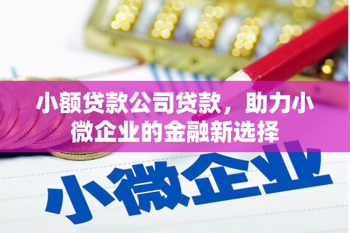 岭东小额贷款公司贷款，助力小微企业的金融新选择