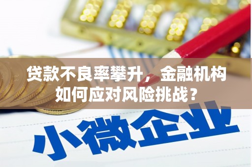 岭东贷款不良率攀升，金融机构如何应对风险挑战？