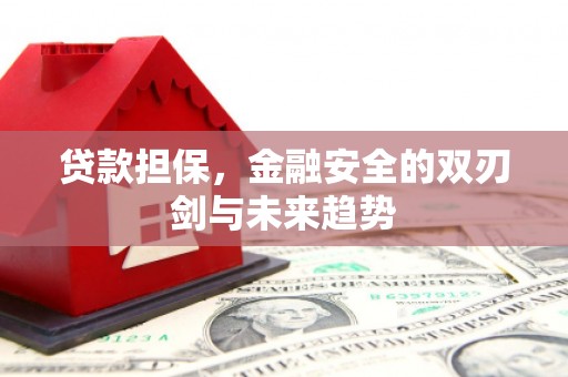 岭东贷款担保，金融安全的双刃剑与未来趋势