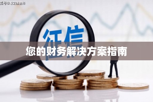 岭东您的财务解决方案指南