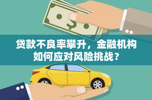 岭东贷款不良率攀升，金融机构如何应对风险挑战？
