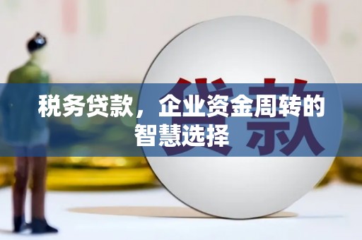 岭东税务贷款，企业资金周转的智慧选择