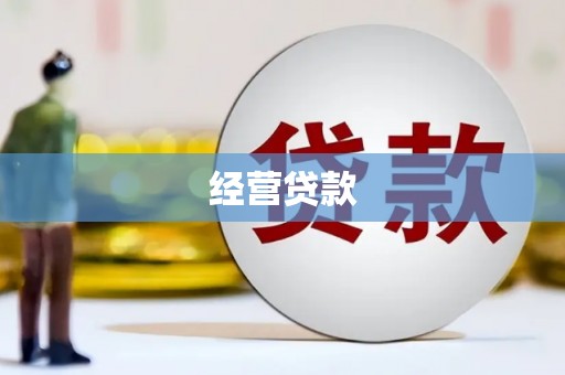 岭东经营贷款
