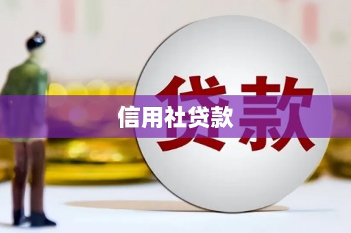岭东信用社贷款