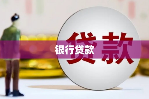 岭东银行贷款