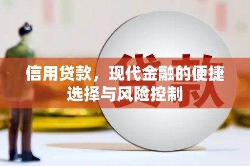 岭东信用贷款，现代金融的便捷选择与风险控制