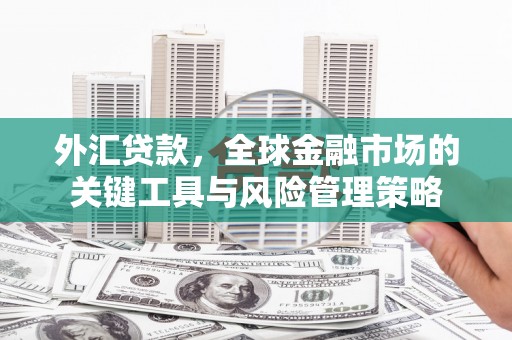 岭东外汇贷款，全球金融市场的关键工具与风险管理策略