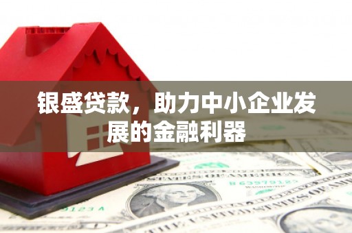岭东银盛贷款，助力中小企业发展的金融利器
