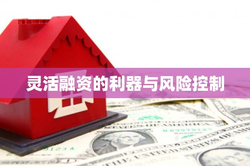 岭东灵活融资的利器与风险控制