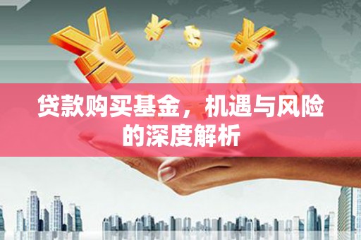 岭东贷款购买基金，机遇与风险的深度解析