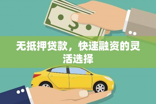 岭东无抵押贷款，快速融资的灵活选择