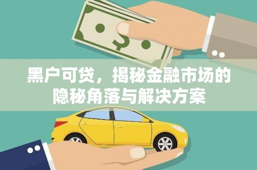 岭东黑户可贷，揭秘金融市场的隐秘角落与解决方案