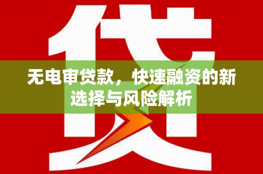 岭东无电审贷款，快速融资的新选择与风险解析