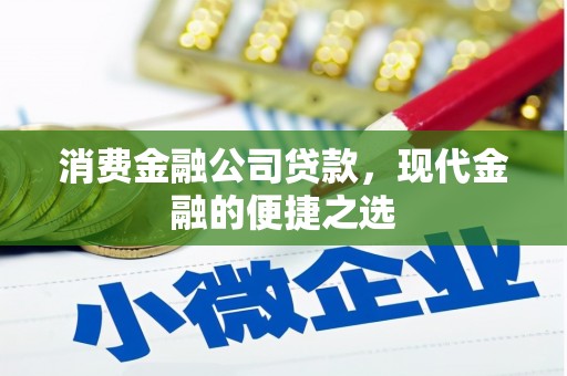 岭东消费金融公司贷款，现代金融的便捷之选