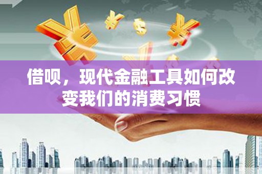 岭东借呗，现代金融工具如何改变我们的消费习惯